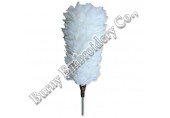 Pure White Plumes Feather